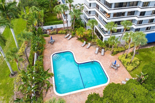 view of swimming pool with a patio area