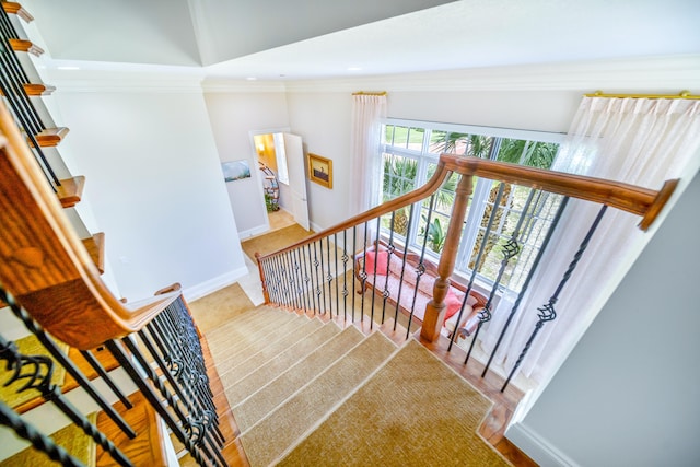 stairway with crown molding