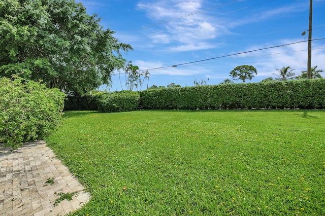 view of yard