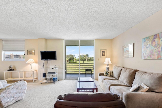 living room featuring a textured ceiling, carpet, and expansive windows