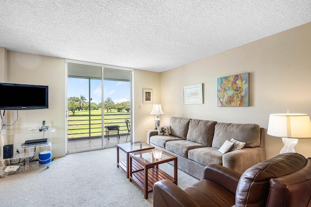 carpeted living room featuring a textured ceiling and expansive windows