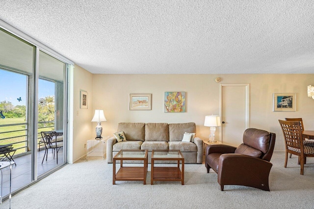 carpeted living room with a textured ceiling