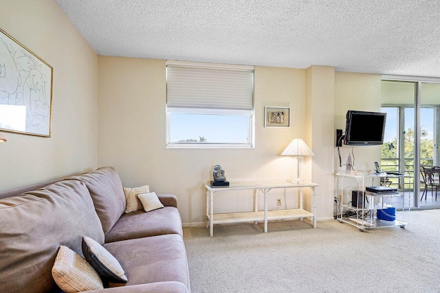 living room featuring a textured ceiling and carpet flooring