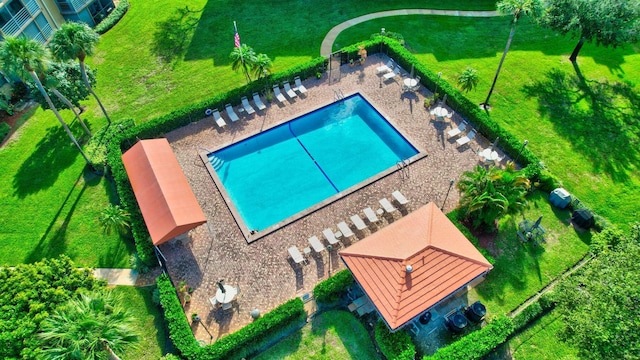 view of pool featuring a yard