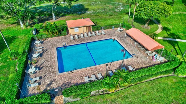 view of swimming pool featuring a lawn and a shed