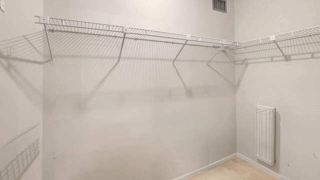 view of walk in closet