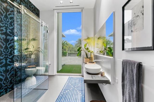 interior space featuring vanity, toilet, and an enclosed shower