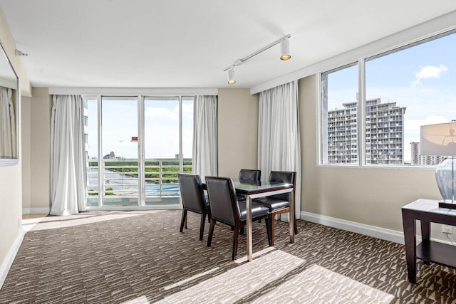 carpeted dining room featuring a view of city, baseboards, and track lighting