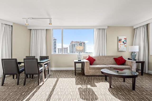 living area with a view of city, rail lighting, and baseboards