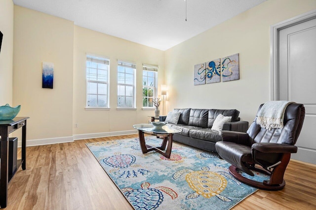 living room with a textured ceiling and light hardwood / wood-style flooring