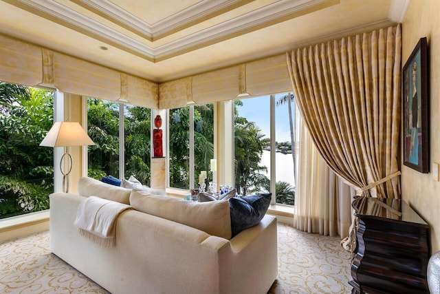 living area with ornamental molding and a raised ceiling