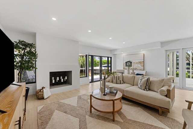 living room with french doors and light hardwood / wood-style floors