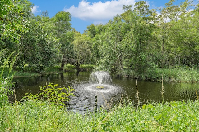 view of water feature