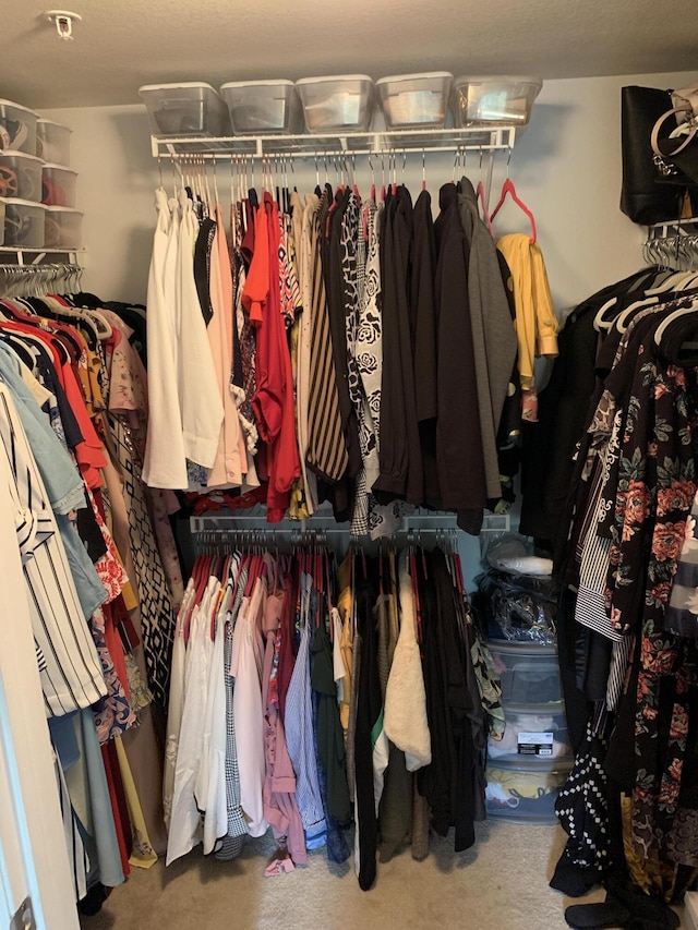 walk in closet featuring carpet flooring