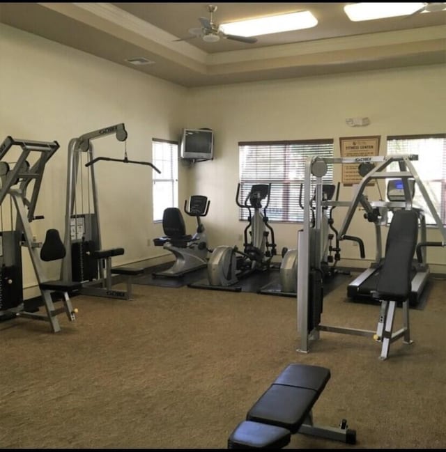 gym with a raised ceiling, carpet floors, and a ceiling fan