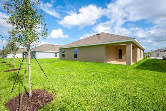 back of house featuring a yard