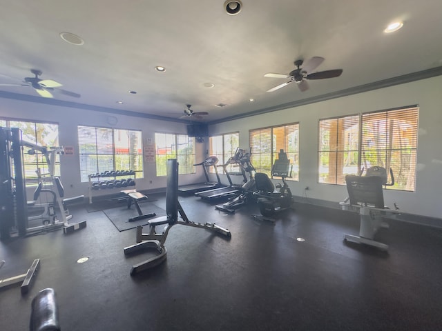 exercise room featuring ceiling fan and ornamental molding