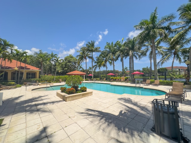 view of swimming pool with a patio area