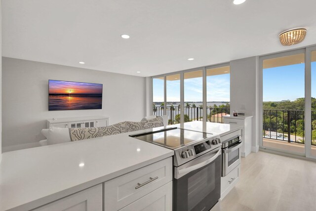 kitchen featuring light hardwood / wood-style flooring, a healthy amount of sunlight, appliances with stainless steel finishes, and a wall of windows