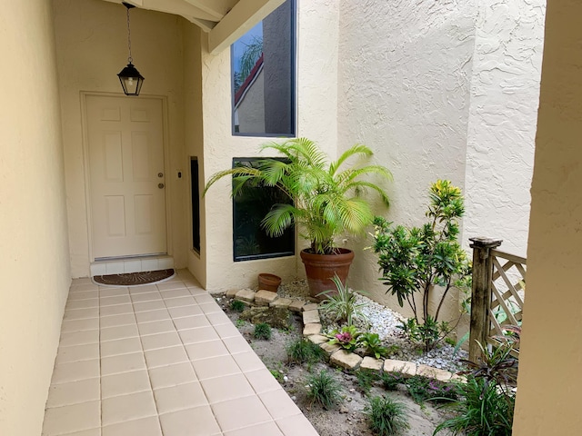 doorway to property featuring stucco siding