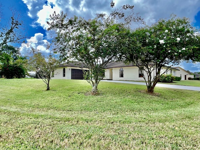 ranch-style house featuring a front lawn