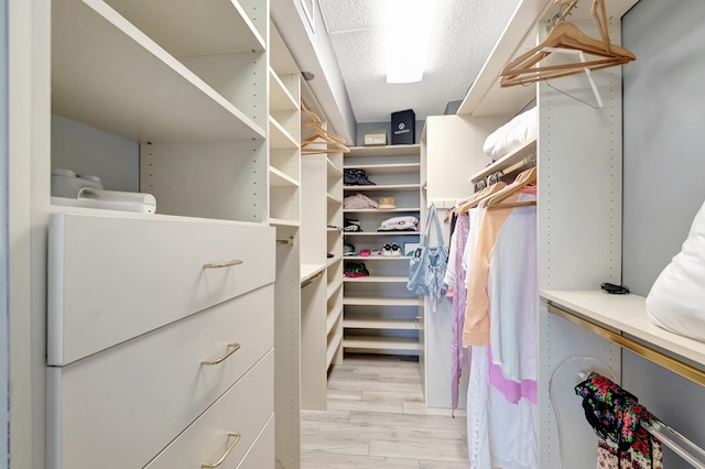 walk in closet featuring light wood-type flooring