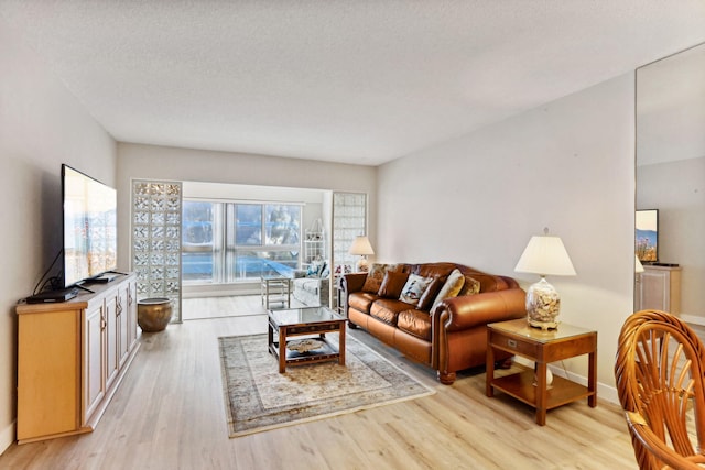 living room with a textured ceiling and light hardwood / wood-style floors