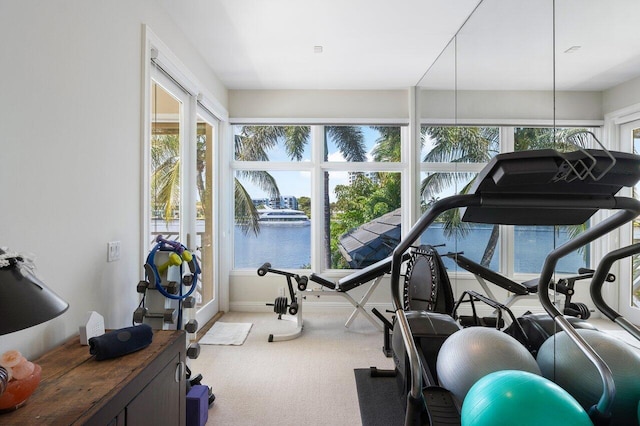 workout room with light colored carpet and a water view