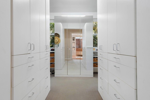 walk in closet with light colored carpet