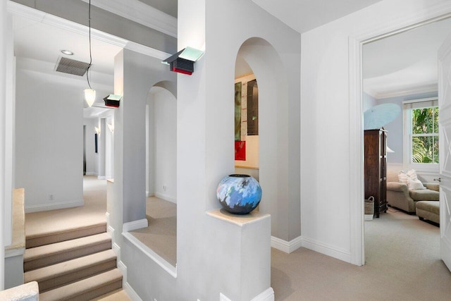 corridor featuring light colored carpet and crown molding