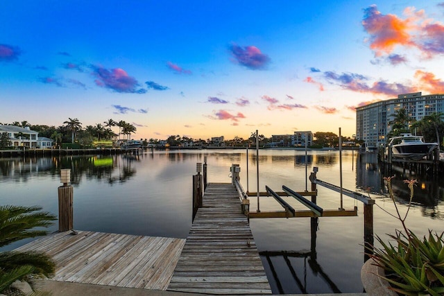 dock area with a water view