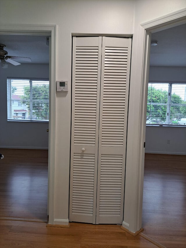 interior details featuring hardwood / wood-style flooring and ceiling fan