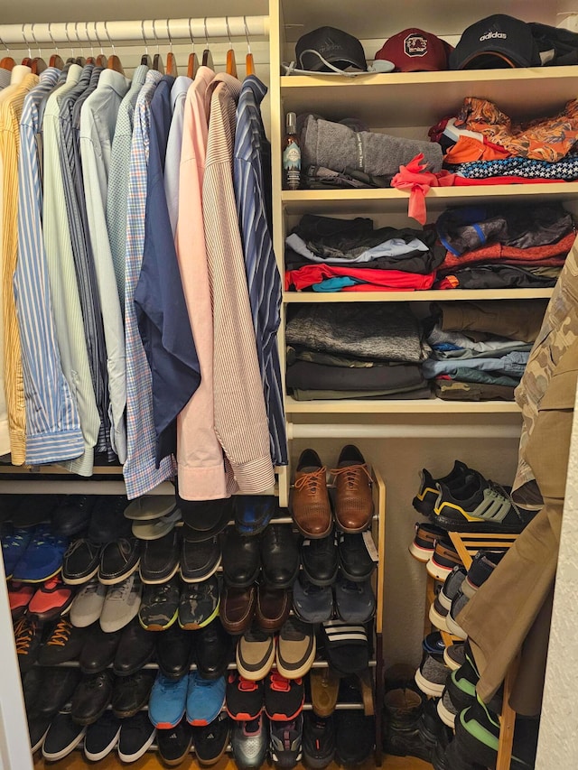 view of spacious closet