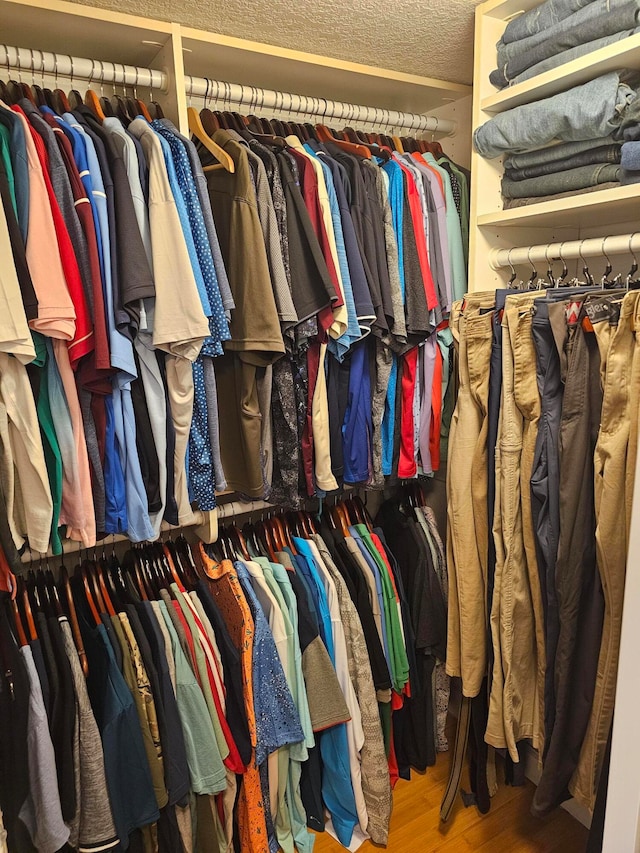 spacious closet with hardwood / wood-style flooring