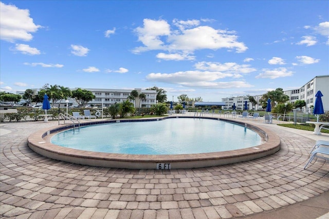 view of pool featuring a patio