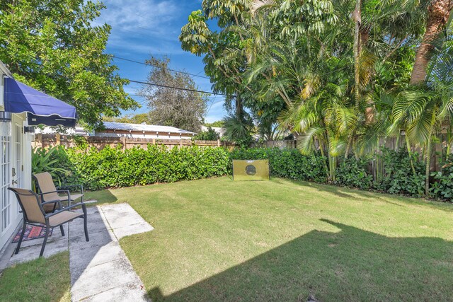 view of yard featuring a patio area