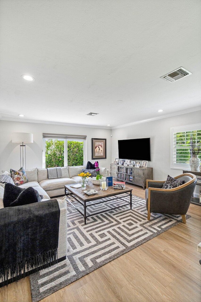 living room featuring light hardwood / wood-style flooring