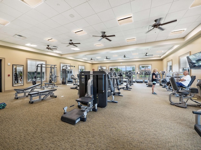 gym with carpet flooring, ceiling fan, and a drop ceiling