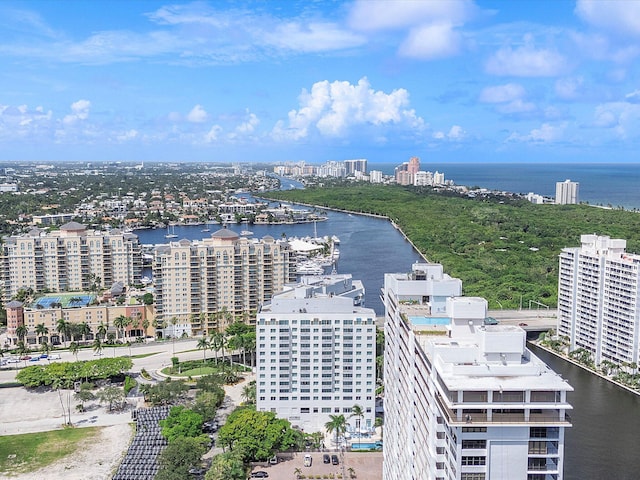 bird's eye view with a water view