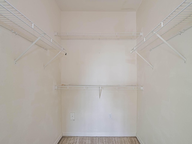 spacious closet with carpet floors