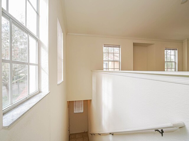 room details featuring crown molding