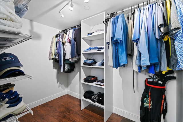 spacious closet with dark hardwood / wood-style flooring