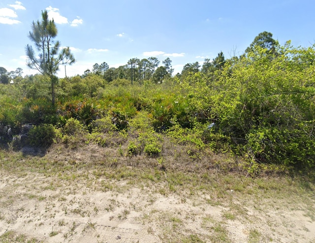 1403 Poinsettia Ave, Lehigh Acres FL, 33972 land for sale