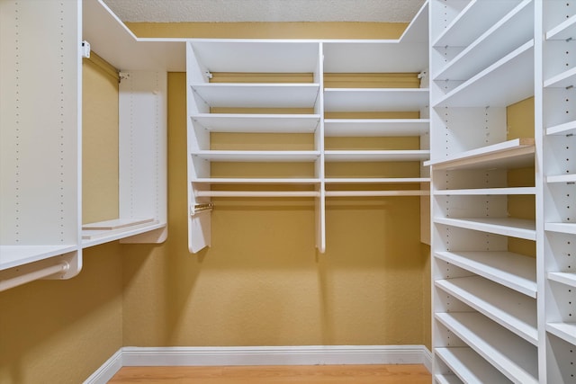 spacious closet with wood-type flooring