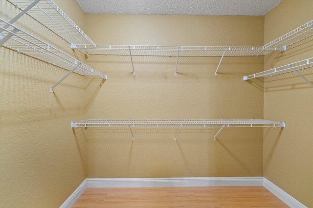 spacious closet with hardwood / wood-style floors