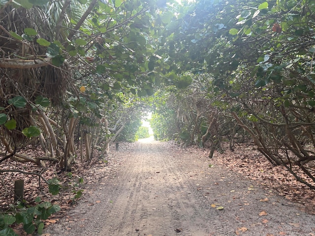 view of road