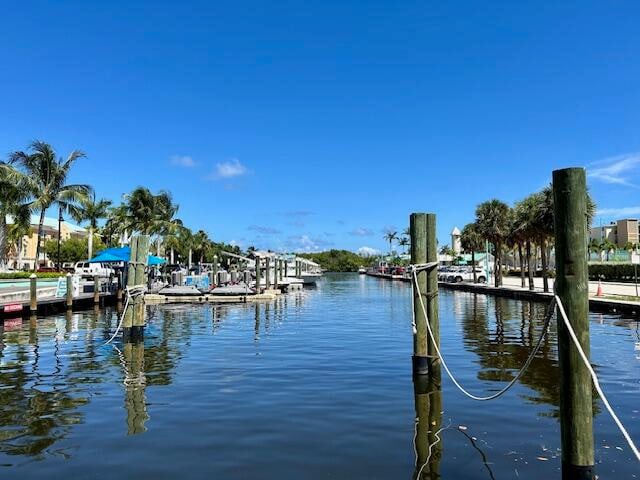 dock area featuring a water view