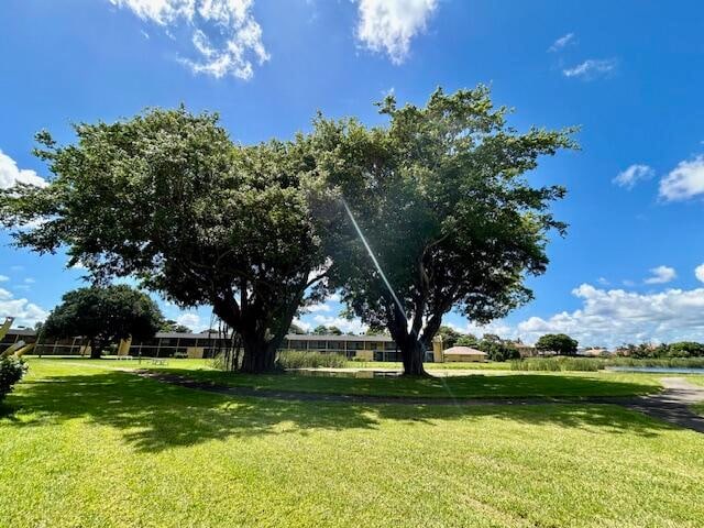 view of home's community with a lawn