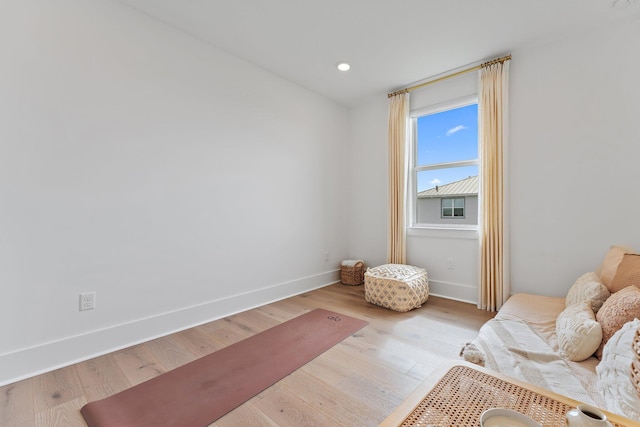 interior space featuring light hardwood / wood-style floors