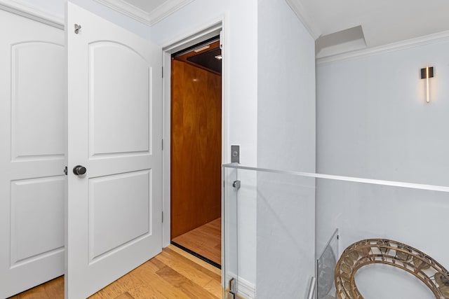 hallway featuring ornamental molding and light hardwood / wood-style flooring